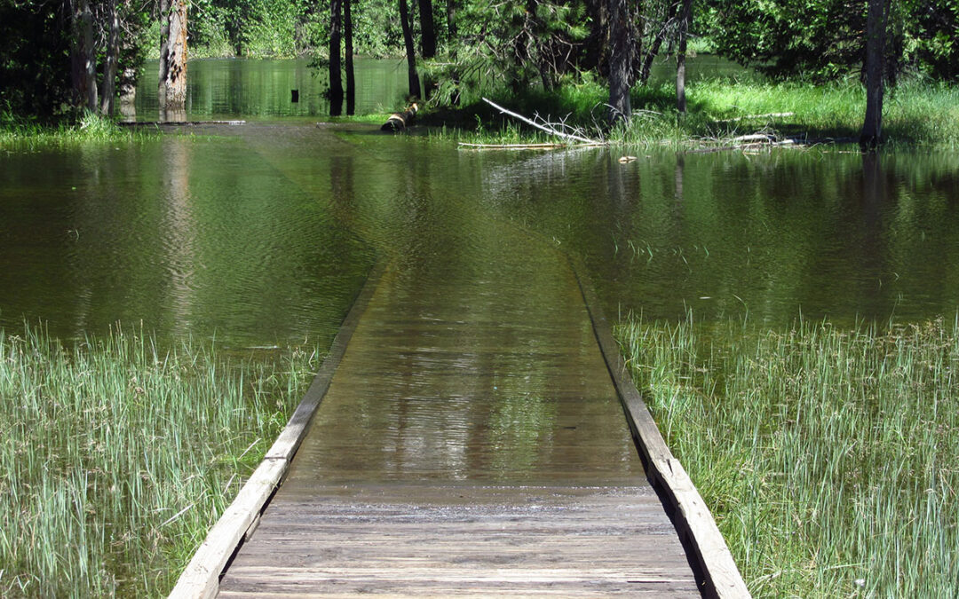 How Do I Know If My Property Has A Drainage Problem?