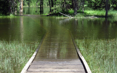 How Do I Know If My Property Has A Drainage Problem?
